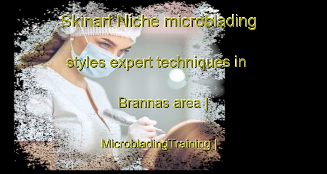 Skinart Niche microblading styles expert techniques in Brannas area | MicrobladingTraining | MicrobladingClasses | SkinartTraining-Sweden
